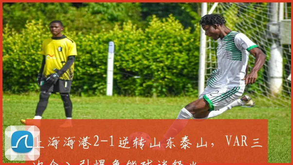 上海海港2-1逆转山东泰山，VAR三次介入引爆鲁能球迷怒火